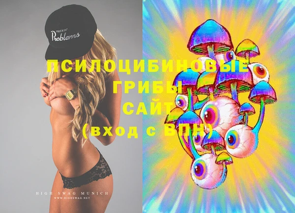 дживик Бронницы