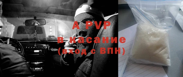 дживик Бронницы